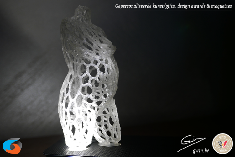 Zwangerschapsbeeldje - Zwangereschapsbuik - 3D print - 3D fotografie - buik print - impression ventre